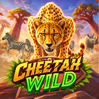 Cheetah